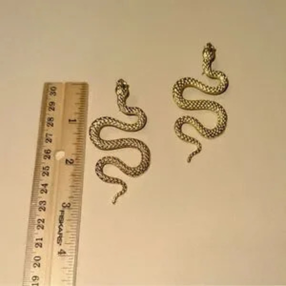 Snake earrings? N884